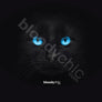 Cat Blue Eyes (Black)