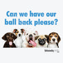 Dogs Ball (Multi)