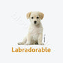 Labradorable (White)