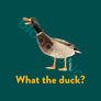 What the Duck? (Multi)