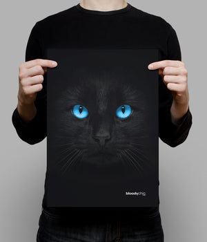 Cat Blue Eyes (A3)