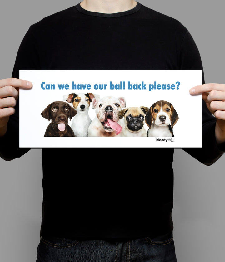 Dogs Ball (Landscape)