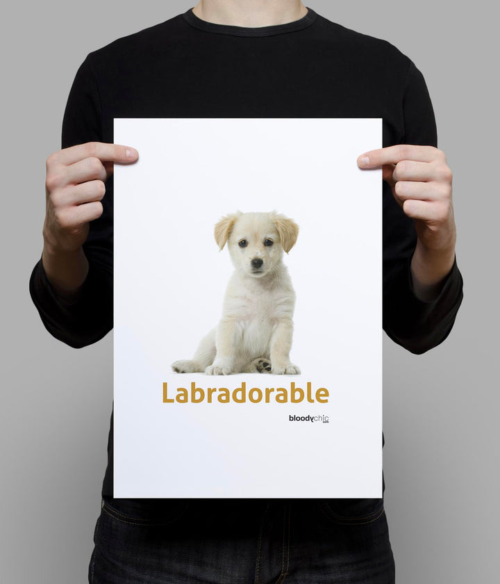 Labradorable (A3)