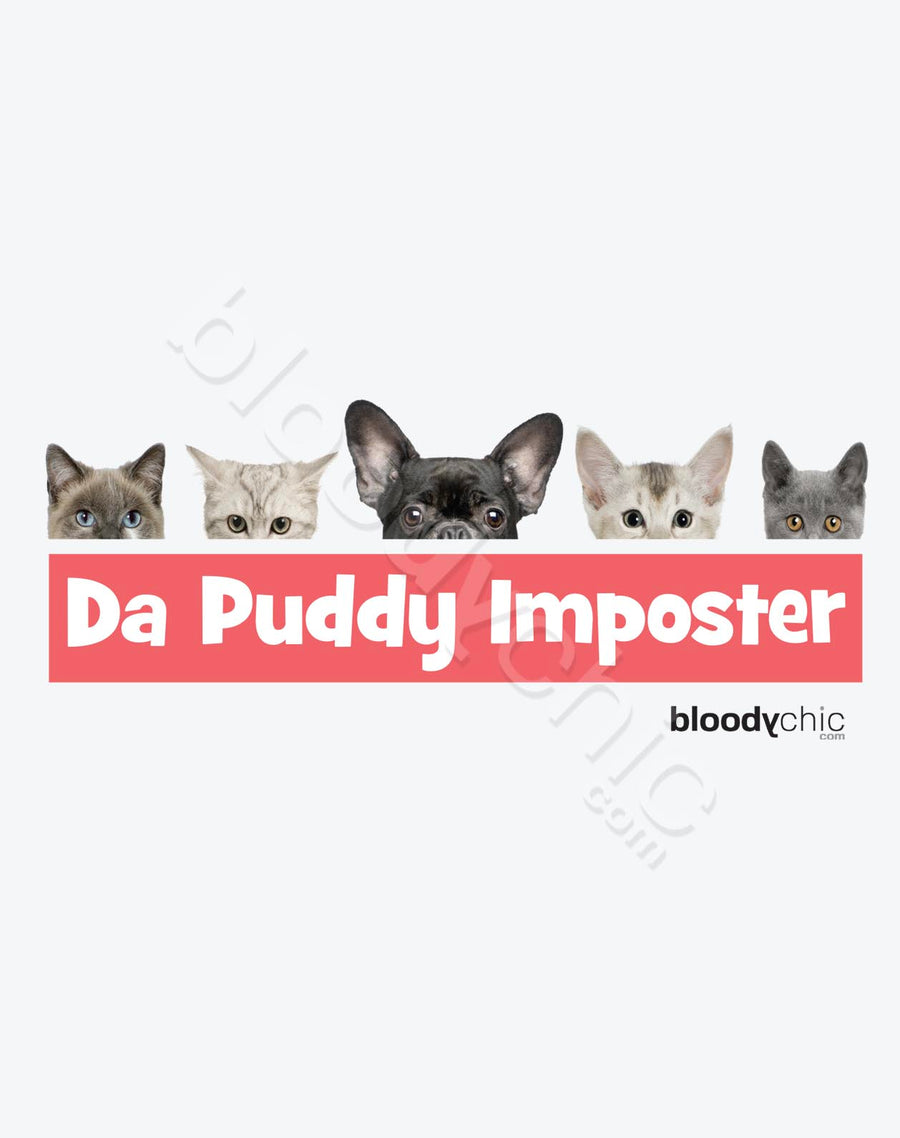 Imposter (Multi)