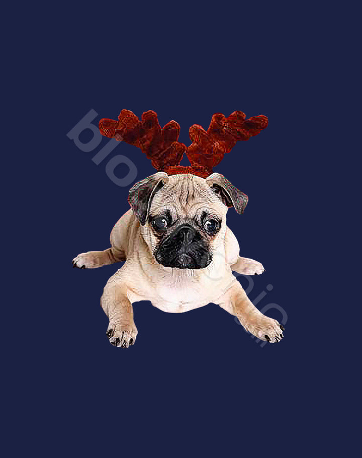 Bah Hum Pug (Multi)